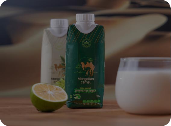 Export curds from Mongolia