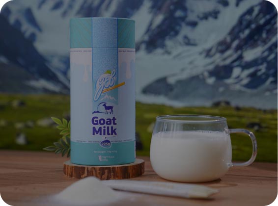 Export curds from Mongolia